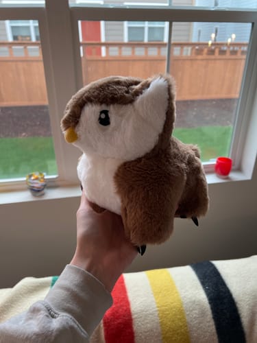 Customer photo review of Owlbear Plush