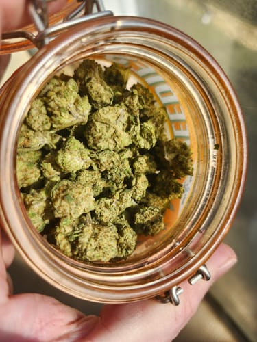 Customer photo review of White Runtz - Greenhouse THCA (Smalls)