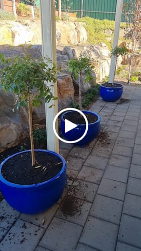 Customer video review of Ceramic Blue Pot, Size C