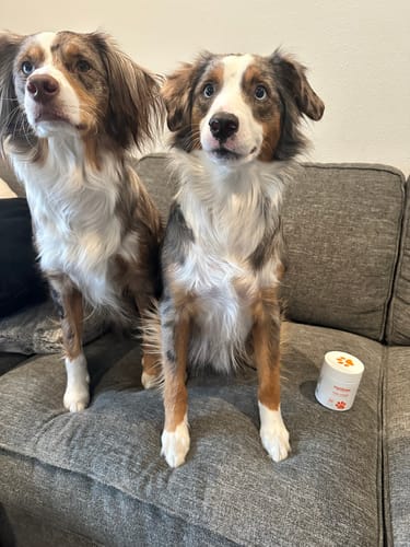 Customer photo review of Chill Chews