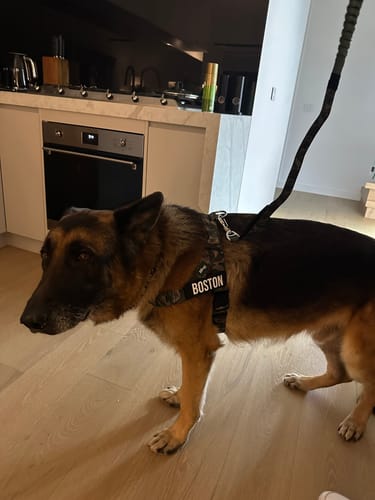 Customer photo review of Signature Kit - Green Camo