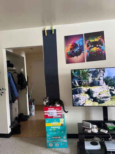 Customer photo review of Multifunctional Cat Scratching Carpet