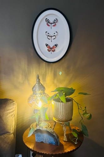 Customer photo review of Boho Jungle ~ Vintage Brass Large Sphere Holder