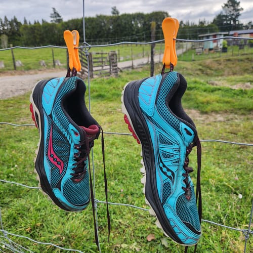 Customer photo review of Hegs Pegs 18pk (Pre-Order)
