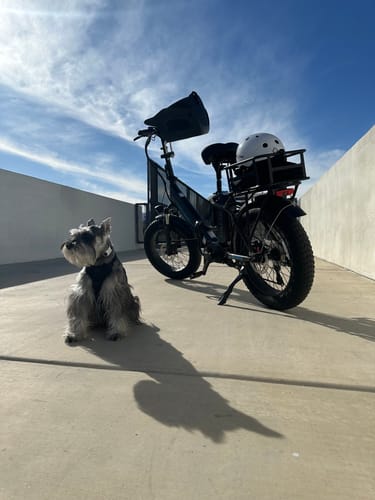 Customer photo review of Kvisp Dog Bike Carrier