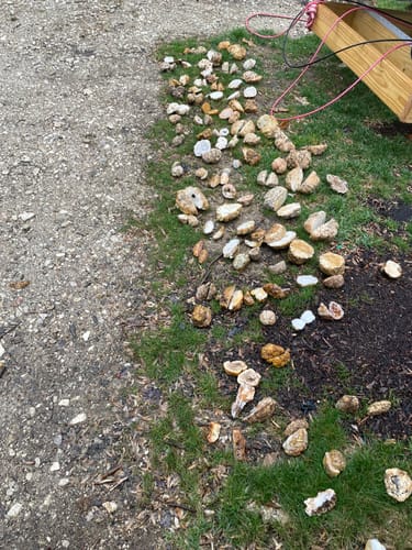 Customer photo review of Gemking Lapidary Saw Blades with Ultra-Thin Notched Rim for Wet Cutting of Hard Materials such as Agate, Petrified Wood or Jade