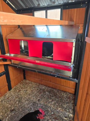 Customer photo review of Medium (34") Reversible Rollout Nest Box (Up to 32 Hens)