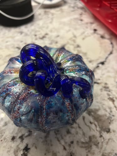 Customer photo review of Daily Pumpkin 1710 Spring Squat