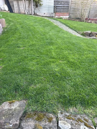 Customer photo review of Animatio® Profi-Rasendünger