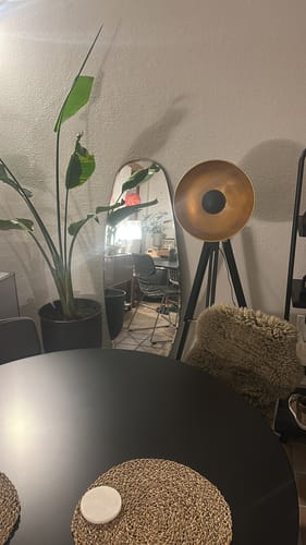 David M. review of Opal Mirror Large | 150 x 55 cm image 1 out of 1