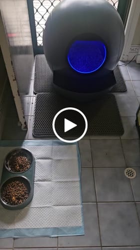 Customer video review of PaWz Automatic Smart Cat Litter Box Self-Cleaning
