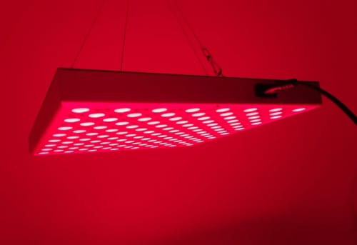 Customer photo review of Therma Glow – Die Revolution der Rotlichttherapie