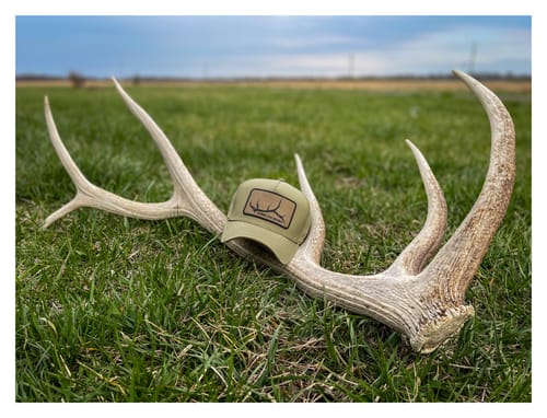 Customer photo review of Elk Shed - Performance Hat Green