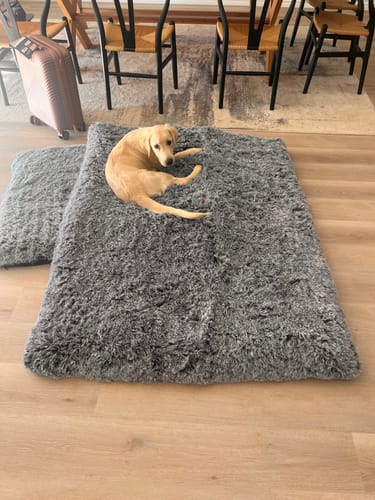 Customer photo review of PaWz Premium SuperMat Calming Bed
