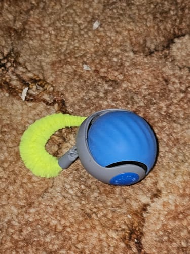 Linda S. review of SPEEDY TAIL 2.0 image 1 out of 1