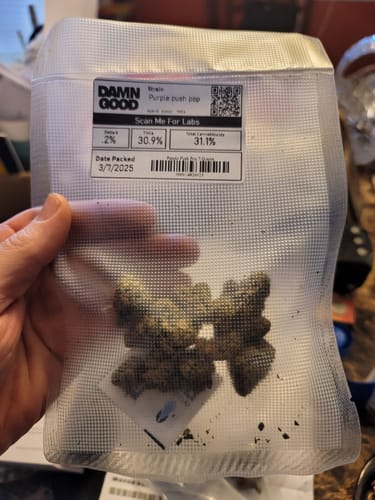 Customer photo review of Purple Push Pop