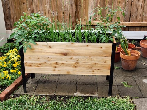 Customer photo review of 18" x 48" Raised Garden Bed