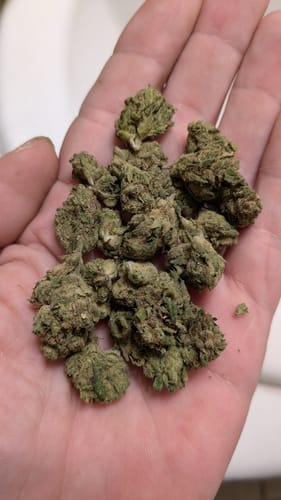 Customer photo review of White Runtz - Greenhouse THCA (Smalls)
