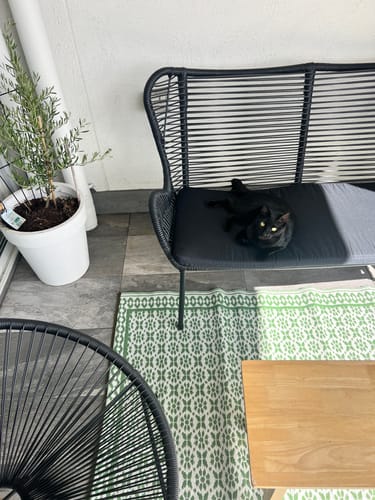 Customer photo review of Ronda Sage Recycled Plastic Outdoor Rug