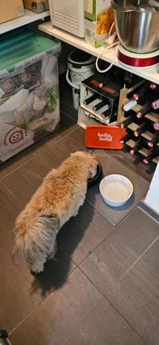 Customer photo review of Frischfutter für Energiebedarf von 263 kCal/Tag