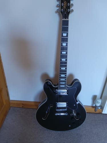 Customer photo review of Donner DJP-1000 39 inch JAZZ LP Electric Guitar