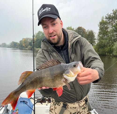 Customer photo review of Lure Drop