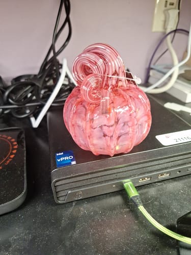 Customer photo review of Spring Pink Pumpkin - Pink with Pink and White Stem