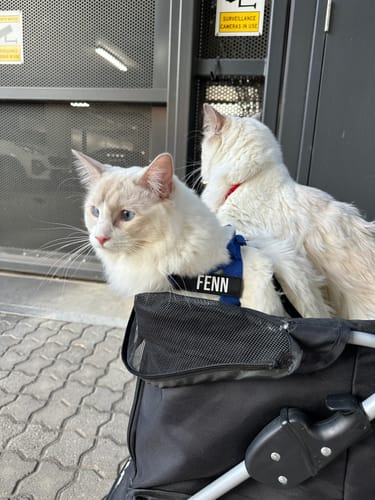 Customer photo review of Custom Name Patches