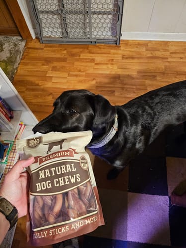 Customer photo review of 6 Inch Monster Braided Bully Stick