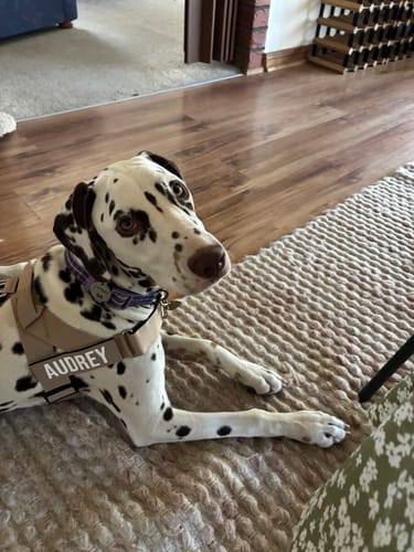 Customer photo review of Signature Kit - Brown