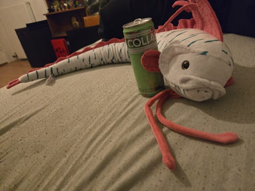 Customer photo review of Oarfish Soft Stuffed Plush Toy
