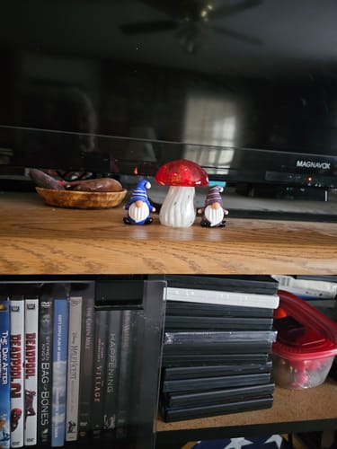 Customer photo review of Little Gnomes