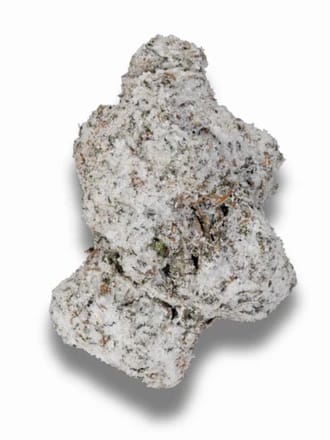 Customer photo review of Snowballs