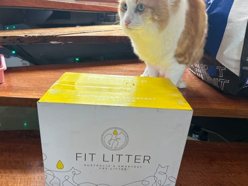 Customer photo review of 3 Month Supply - 2 Cats