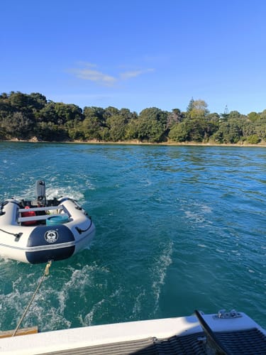 Customer photo review of Inflatable Dinghy Tender Boat Aluminum Floor 3m