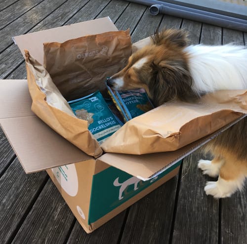 Customer photo review of Frischfutter für Energiebedarf von 426 kCal/Tag