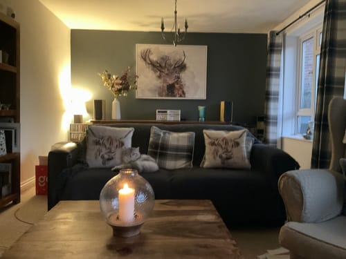 Customer photo review of Stag Canvas Print