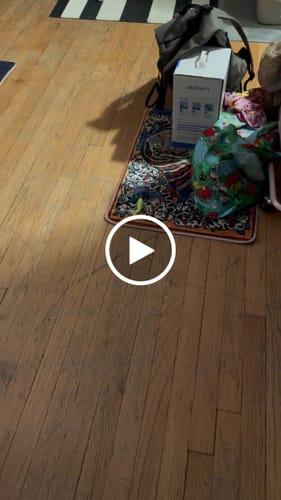 Robin M. review of SPEEDY TAIL 2.0 image 1 out of 1