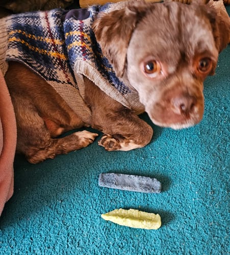Customer photo review of Mix Flavored Chews ( a Pack of 6 Sticks )