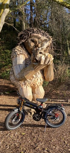 Customer photo review of 2025 Version A9 Pro Max Dual Motor Ebike