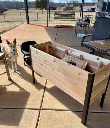 Customer photo review of 18" x 48" Raised Garden Bed