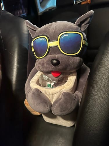 Customer photo review of Konsolen Buddy - Dein kleiner Helfer im Auto