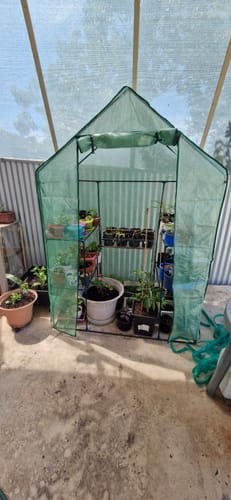 Customer photo review of Walk in Greenhouse