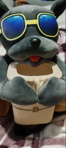 Customer photo review of Konsolen Buddy - Dein kleiner Helfer im Auto