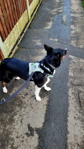 Leanne review of Mystery Item image 1 out of 2