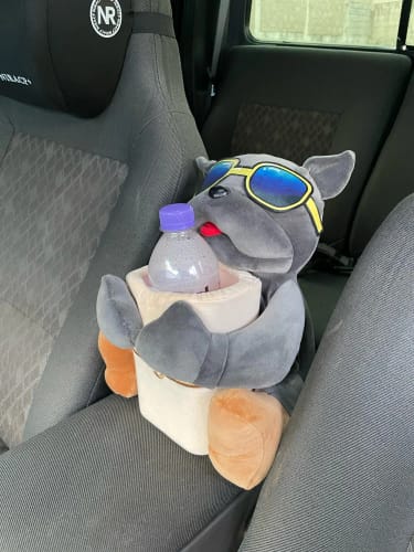 Customer photo review of Konsolen Buddy - Dein kleiner Helfer im Auto