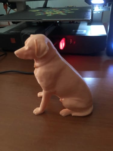 Customer photo review of Anycubic Kobra 3 Combo