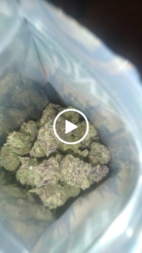 Customer video review of Ice Cream Cake - Indoor THCA (Smalls)