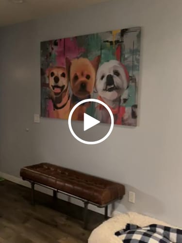 Customer video review of How many pets would you like us to portray?