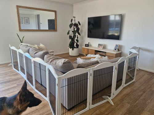 Customer photo review of PaWz 6 Panels Pet Playpen Pet Gate